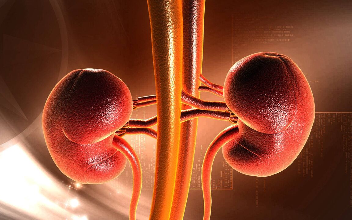 Increased blood glucose levels can cause kidney failure